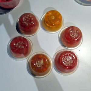 Image of some of the completed jelly cakes